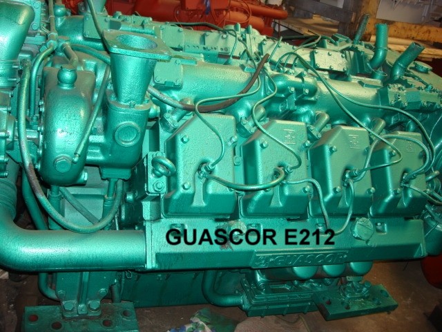 Motor guascor E212 500c.v 1800 r.p.m