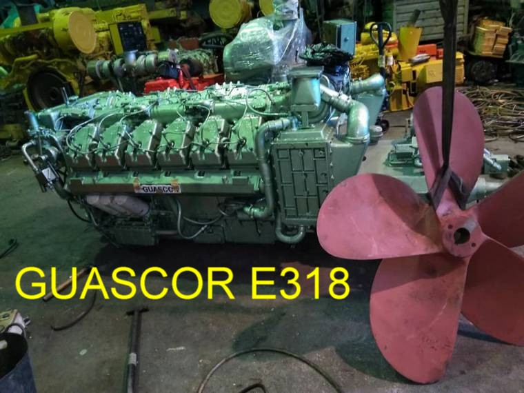 Motor guascor E318 780 c.v 1800 r.p.m